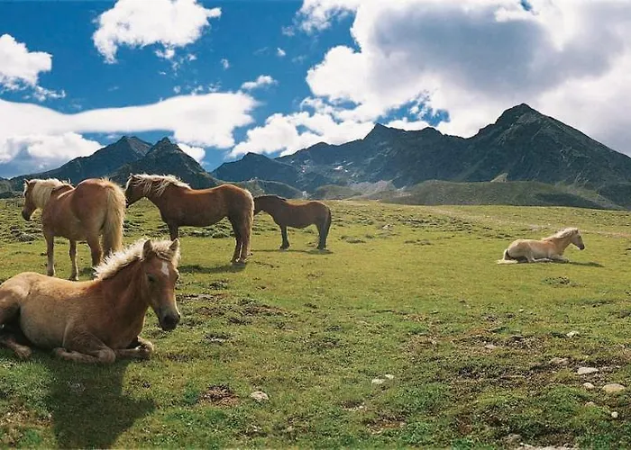 Appartements Kuehtai