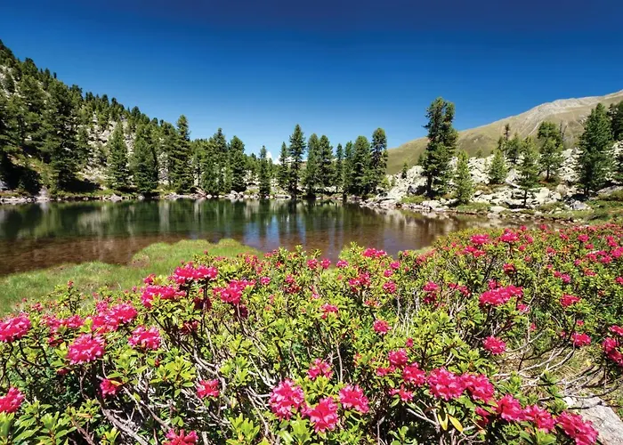 Appartements Kuehtai דירה